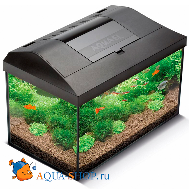 Аквариум Aquael LEDDY LT 40 (25л) прямой черный 40*25*25 см купить в  интернет-магазине AQUA-SHOP