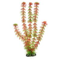 Растение пластиковое Barbus Кабомба красная 20см