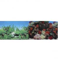 Фон для аквариума двуxсторонний Кораллы/Растительный 60x150см