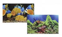 Фон для аквариума двуxсторонний Морские кораллы/Подводный мир 30x60см