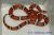 Молочная змея рыжая  Lampropeltis triangulum syspila