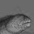 Мурена-сидерия перечная, Сидерия узорчатая MGymnothorax pictus (Siderea picta, S.pictus) | Цена: 2500 | Нет в наличии